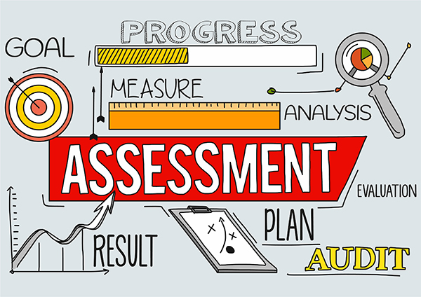 Understanding Program Assessments: Why Your Business Needs One